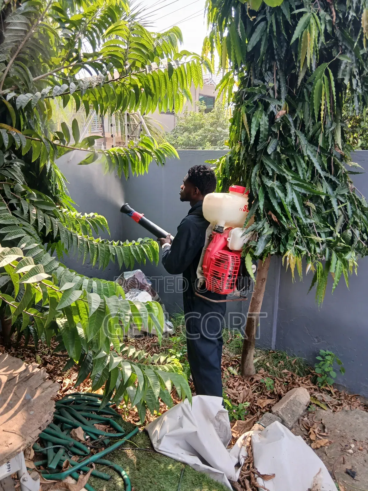 Regular Fumigation