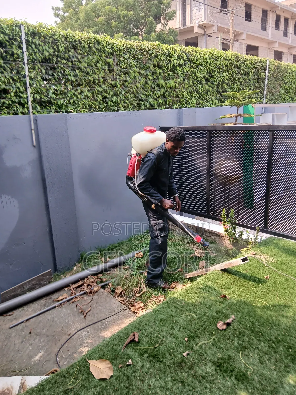 Regular Fumigation