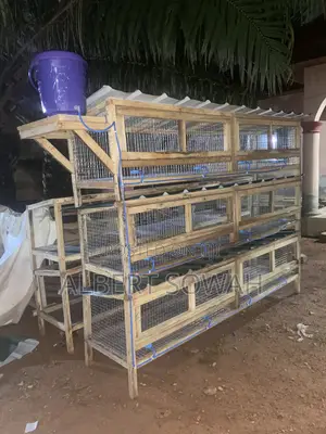 12 Rooms Modern Rabbit Cage