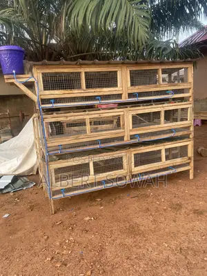 12 Rooms Modern Rabbit Cage