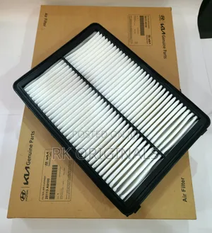 Palisade/Santa Fe/Sorento/Telluride 16-25 Air Filter From Korea 🇰🇷.