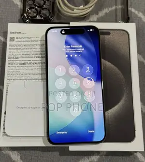 Apple iPhone 15 Pro Max 256 GB Silver