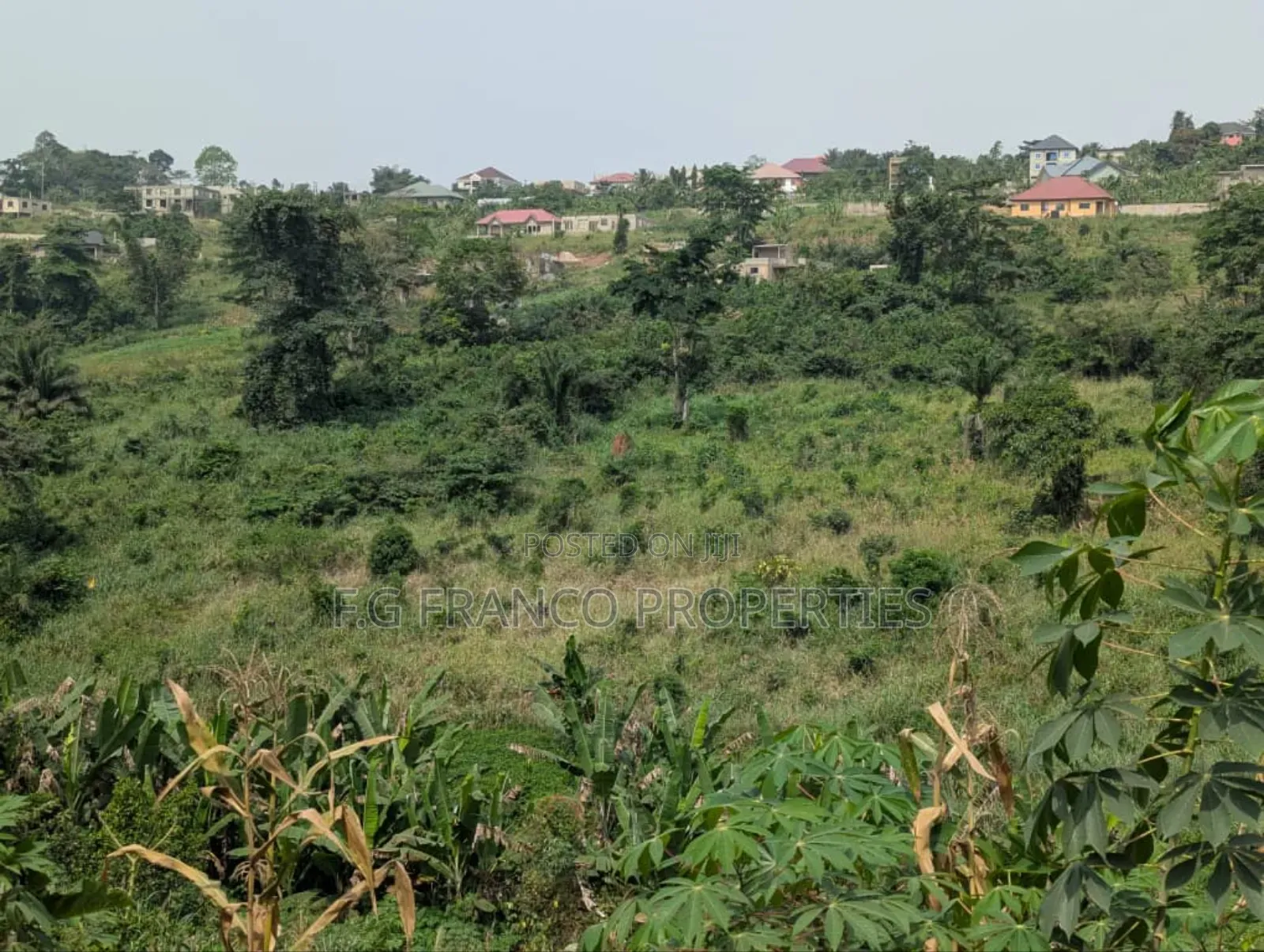 3.65 Acres Of Land For Sale In Osu