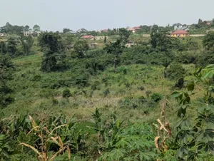 3.65 Acres Of Land For Sale In Osu