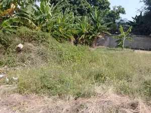 3.65 Acres Of Land For Sale In Osu