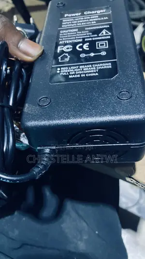 Electric Bike Charger
