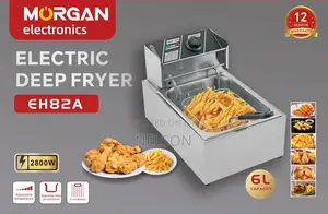 Electric Deep Fryer