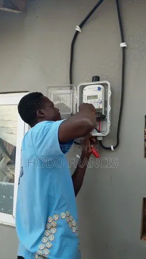 Professional Electrician