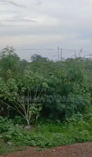 20 Acres of Land for Sale at Borteyman