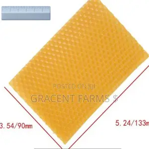 13.3 X 9cm Beeswax Foundation Sheet