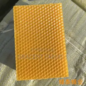 13.3 X 9cm Beeswax Foundation Sheet