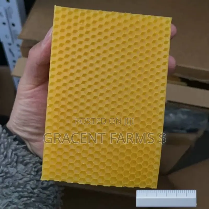 13.3 X 9cm Beeswax Foundation Sheet