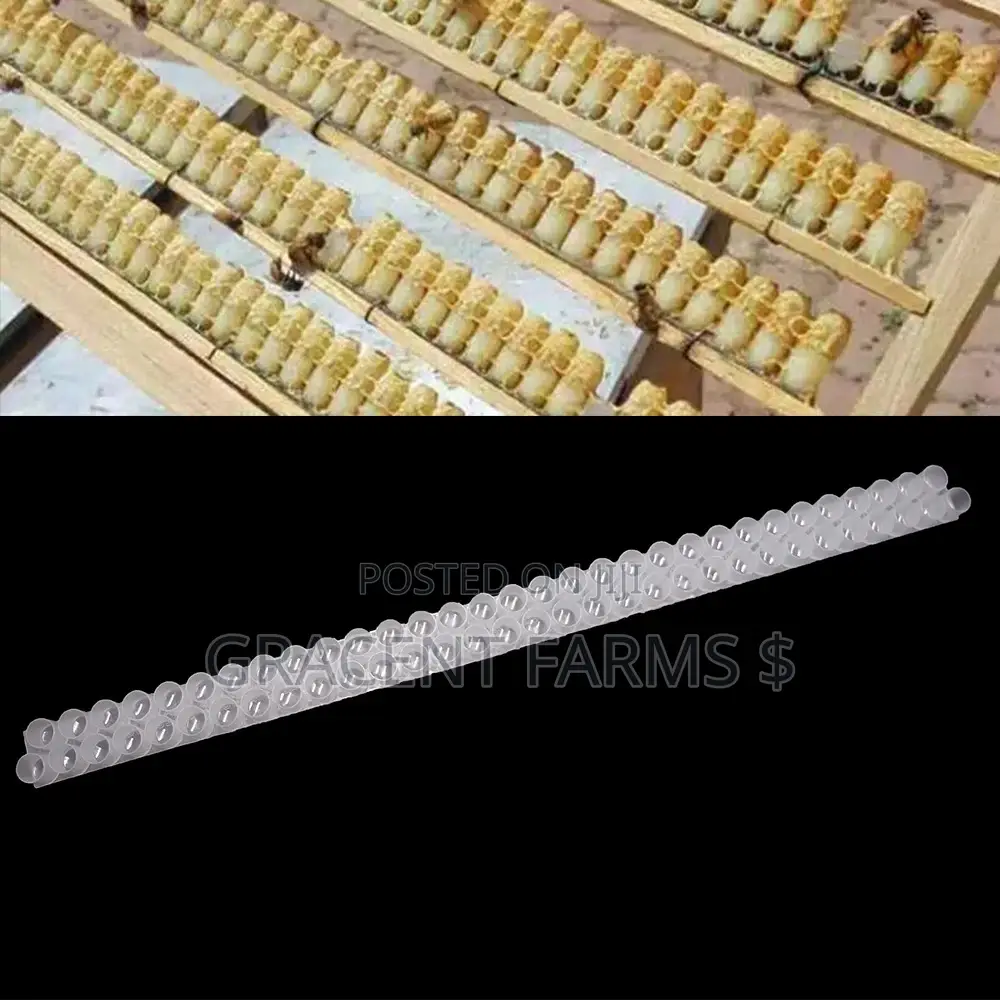 Beekeeping Queen Cell Cup Bar Kit - (Complete With Cell Roots)