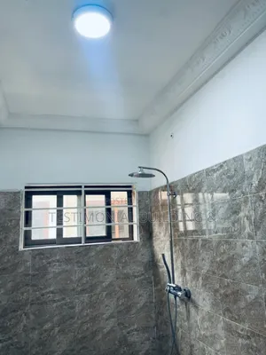 2bdrm Apartment in Testimonial Building, Adjiriganor for rent