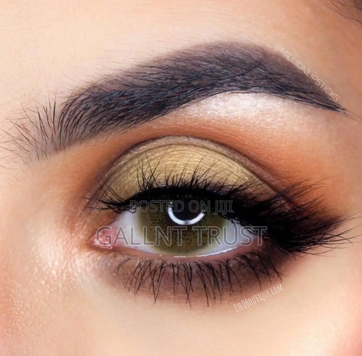 Cosmetic Contact Lens