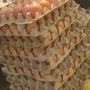 Diamond Eggs
