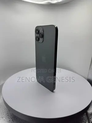 Apple iPhone 12 Pro Max 256 GB Blue