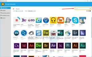 Software Installations Services [ Windows ]
