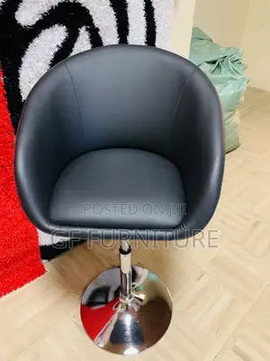 Adjustable Height Swivel Bar Salon Stool