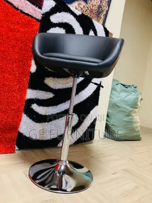 Adjustable Height Swivel Bar Salon Stool