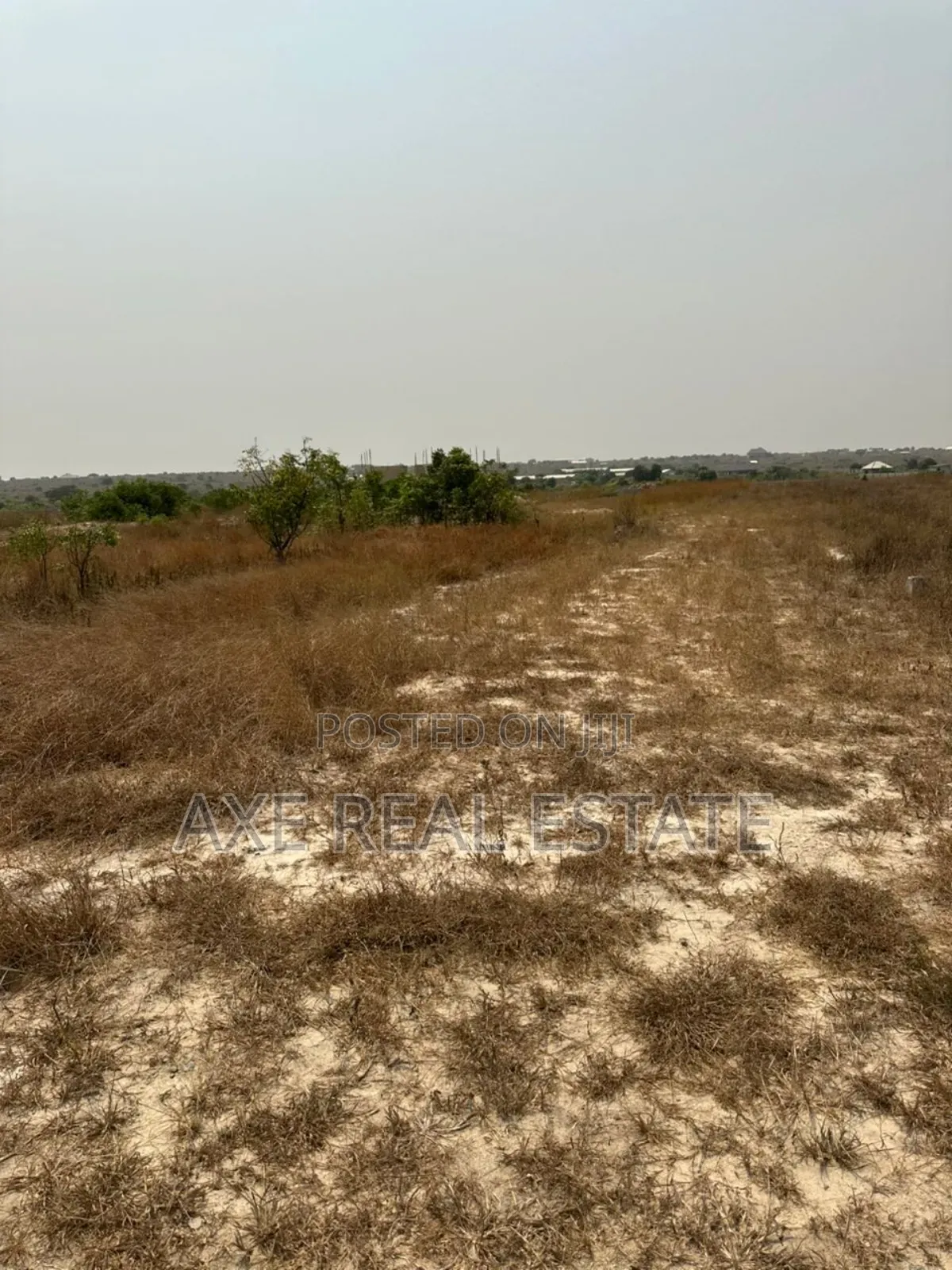 Huge Bonanza Plots at Ningo Prampram