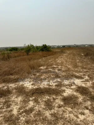 Huge Bonanza Plots at Ningo Prampram