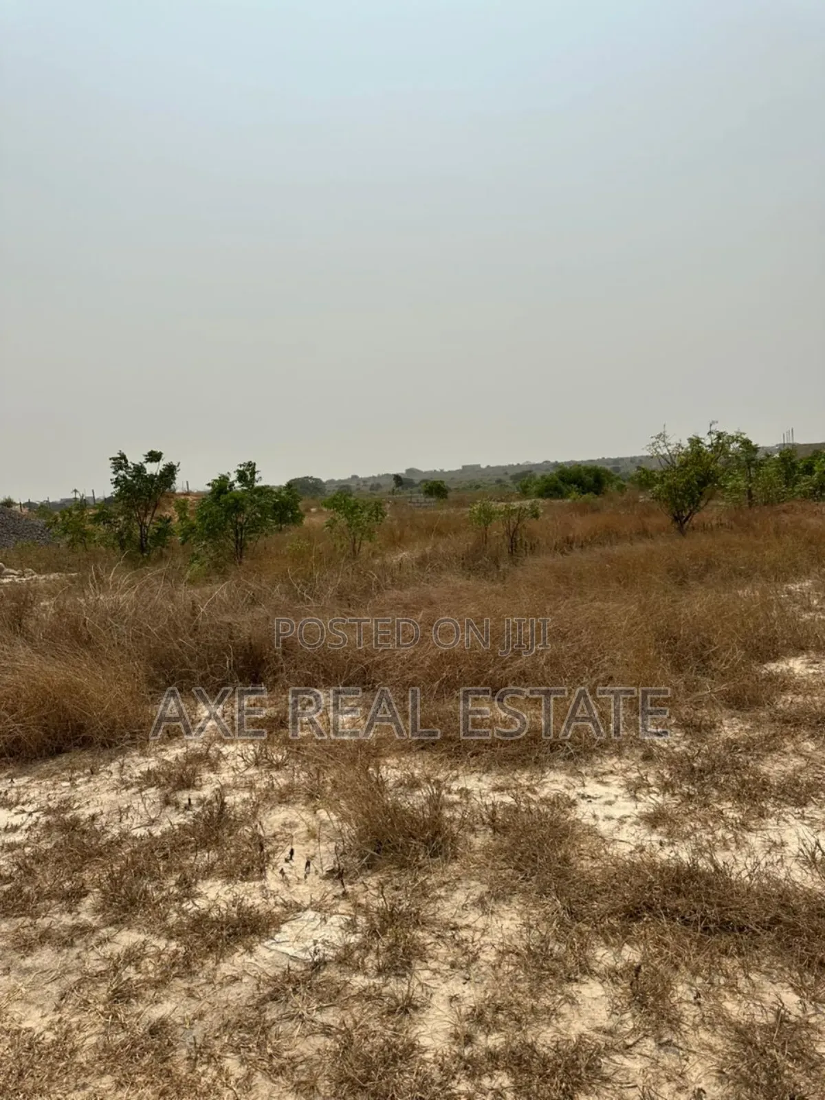 Huge Bonanza Plots at Ningo Prampram