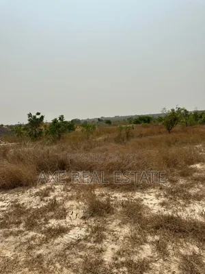 Huge Bonanza Plots at Ningo Prampram