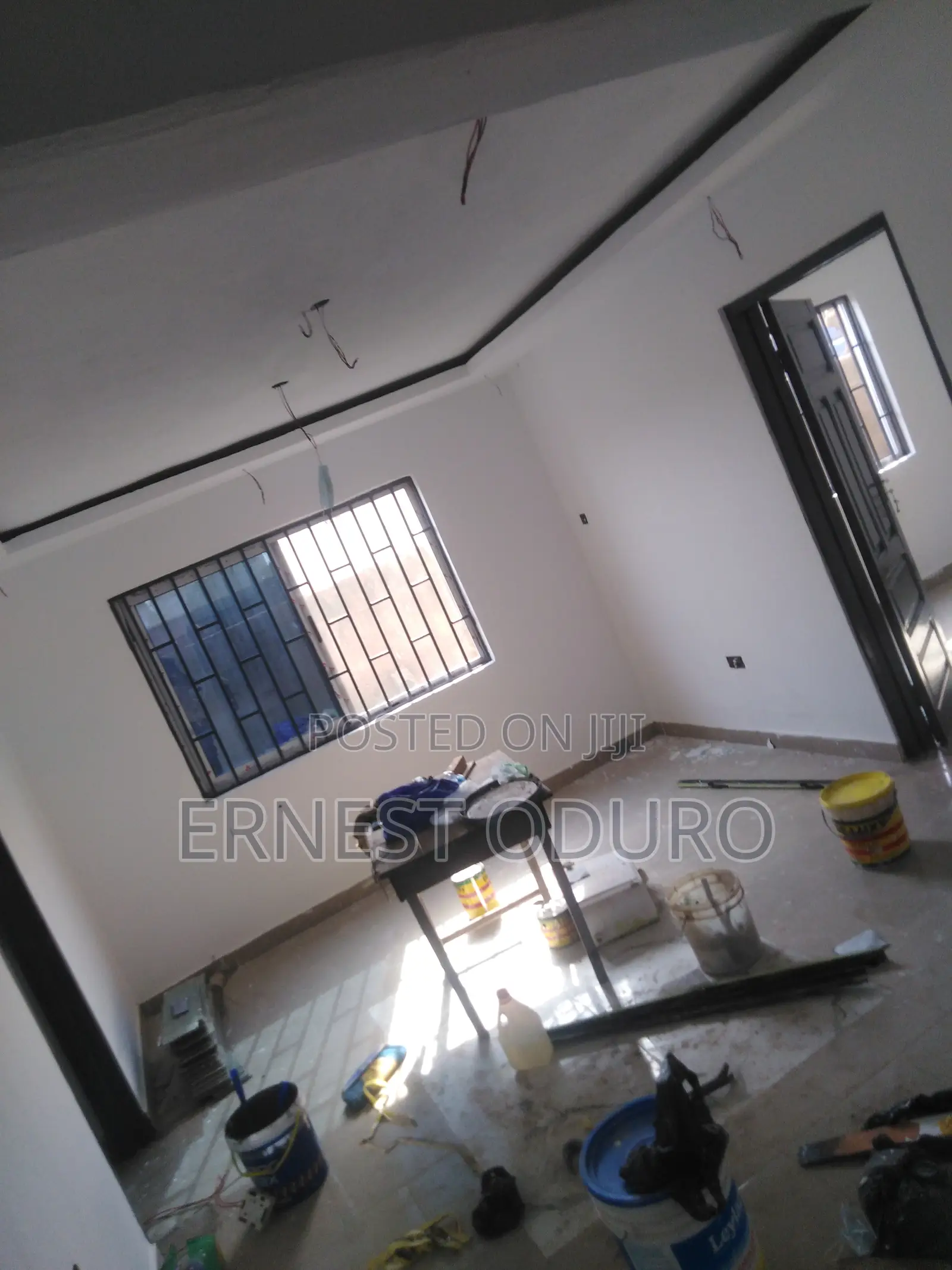 Professional Painter