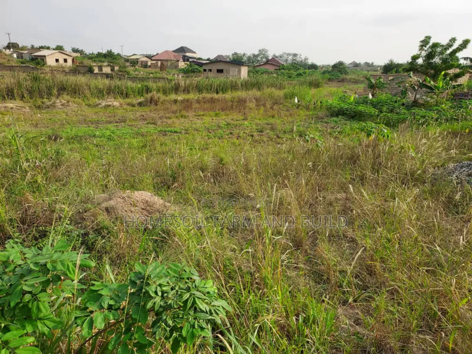 A Plot of Litigation Free Residential Land for Sale at Papaase