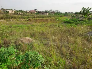 A Plot of Litigation Free Residential Land for Sale at Papaase