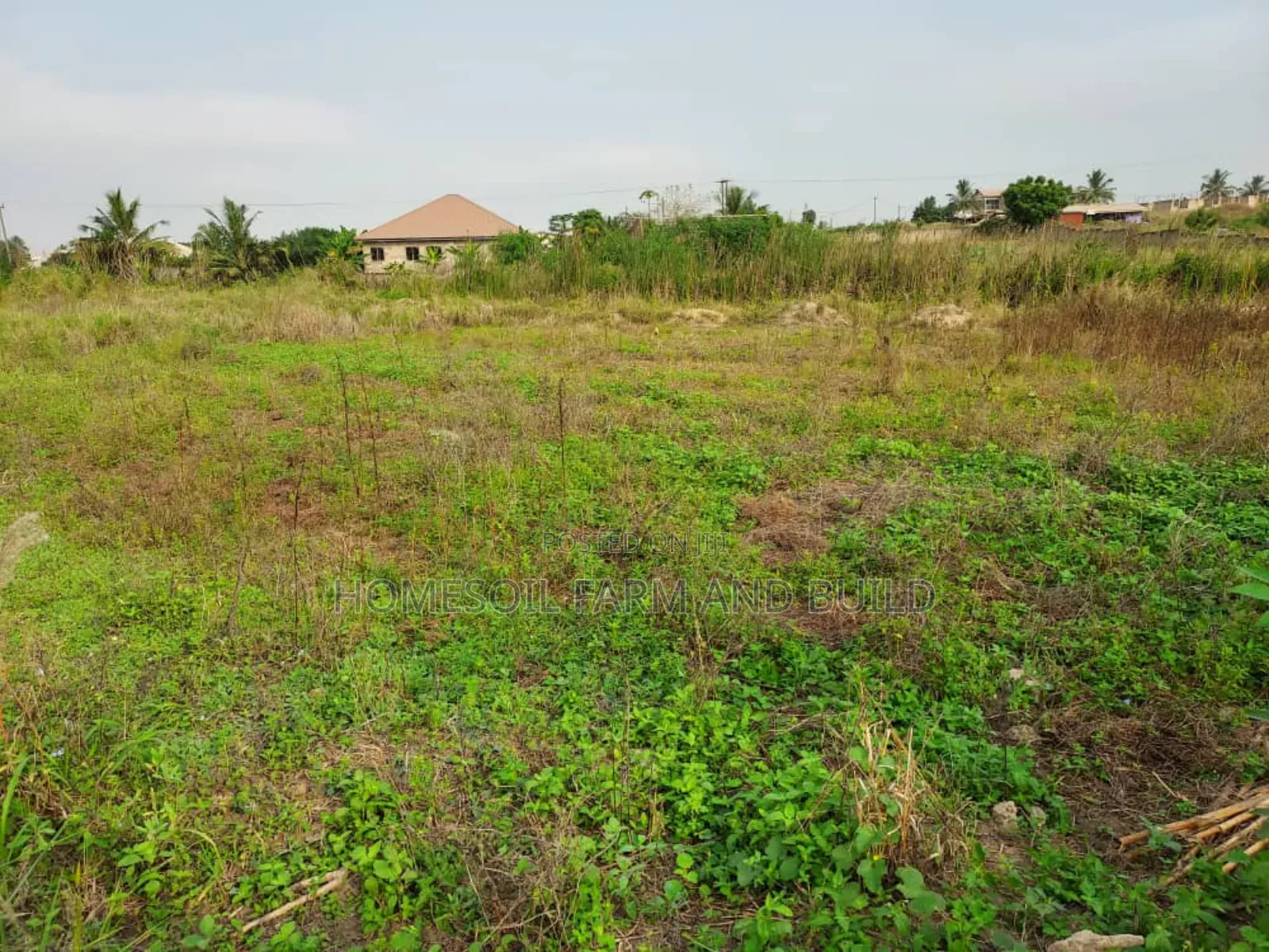 A Plot of Litigation Free Residential Land for Sale at Papaase