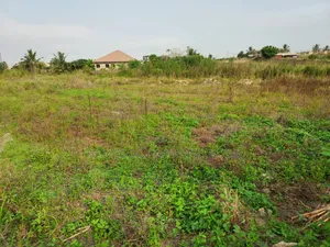 A Plot of Litigation Free Residential Land for Sale at Papaase