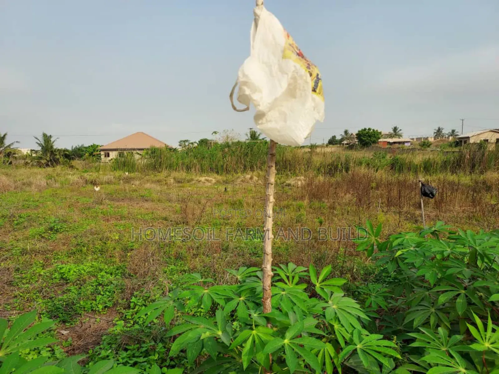 A Plot of Litigation Free Residential Land for Sale at Papaase