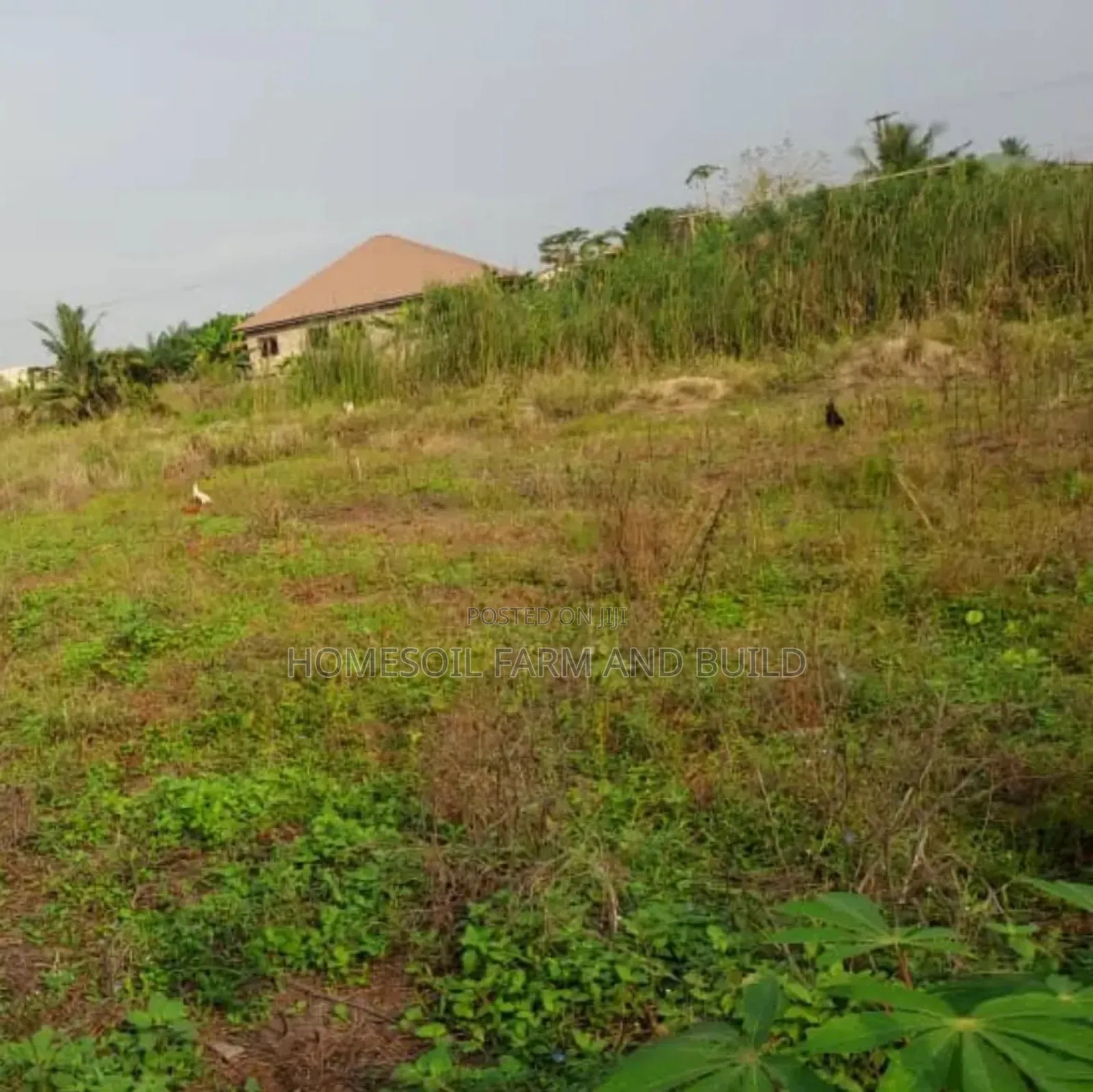 A Plot of Litigation Free Residential Land for Sale at Papaase