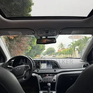 Hyundai Elantra 2017 Blue