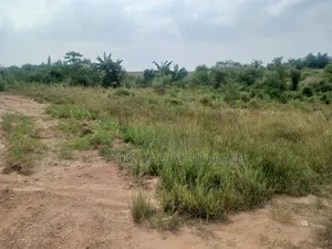 Hotcake Land Forsale at Nsawam
