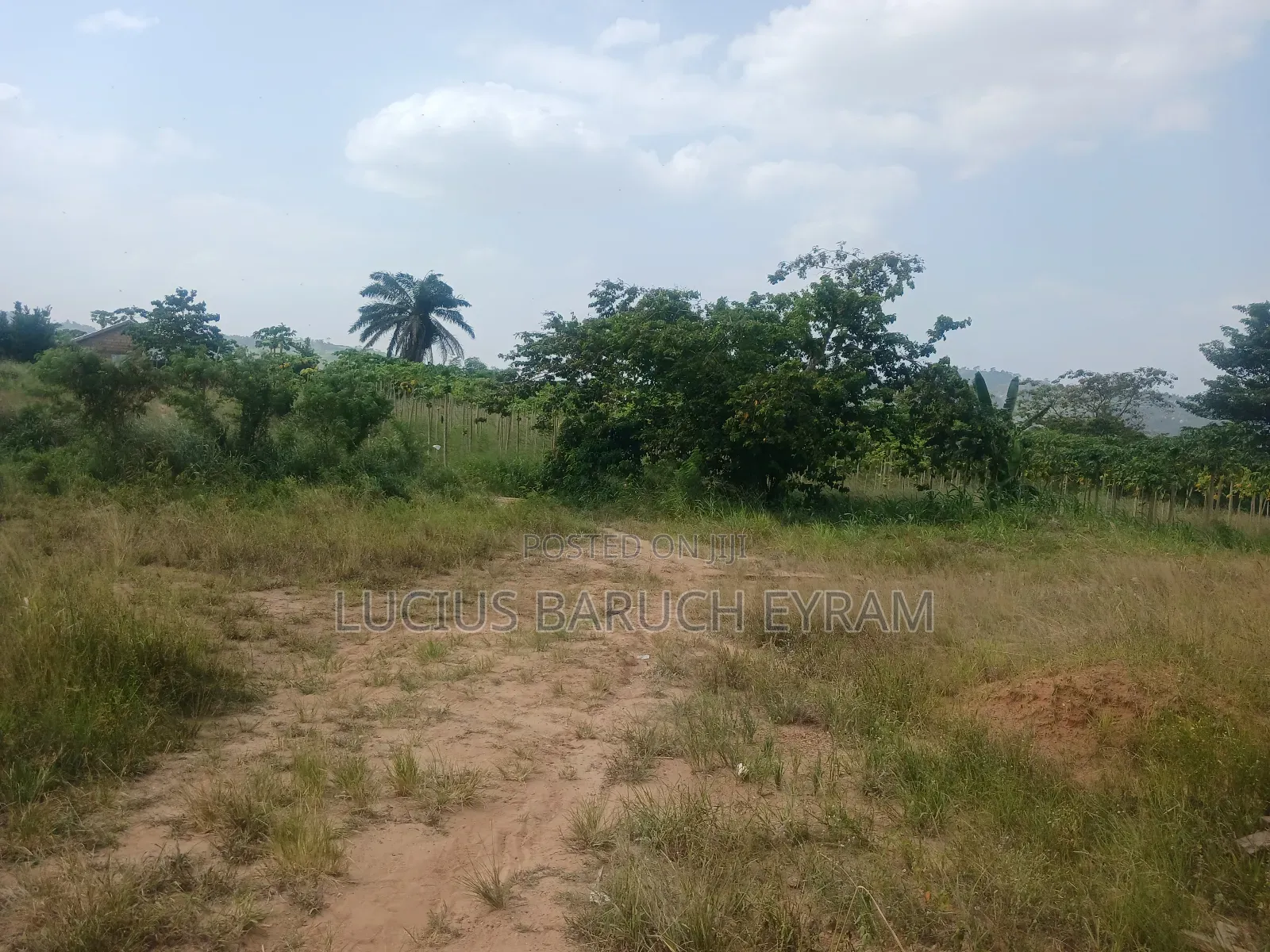 Hotcake Land Forsale at Nsawam