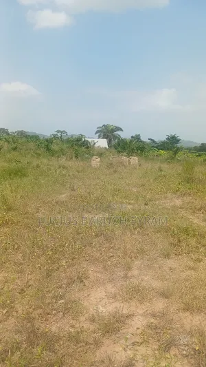 Hotcake Land Forsale at Nsawam
