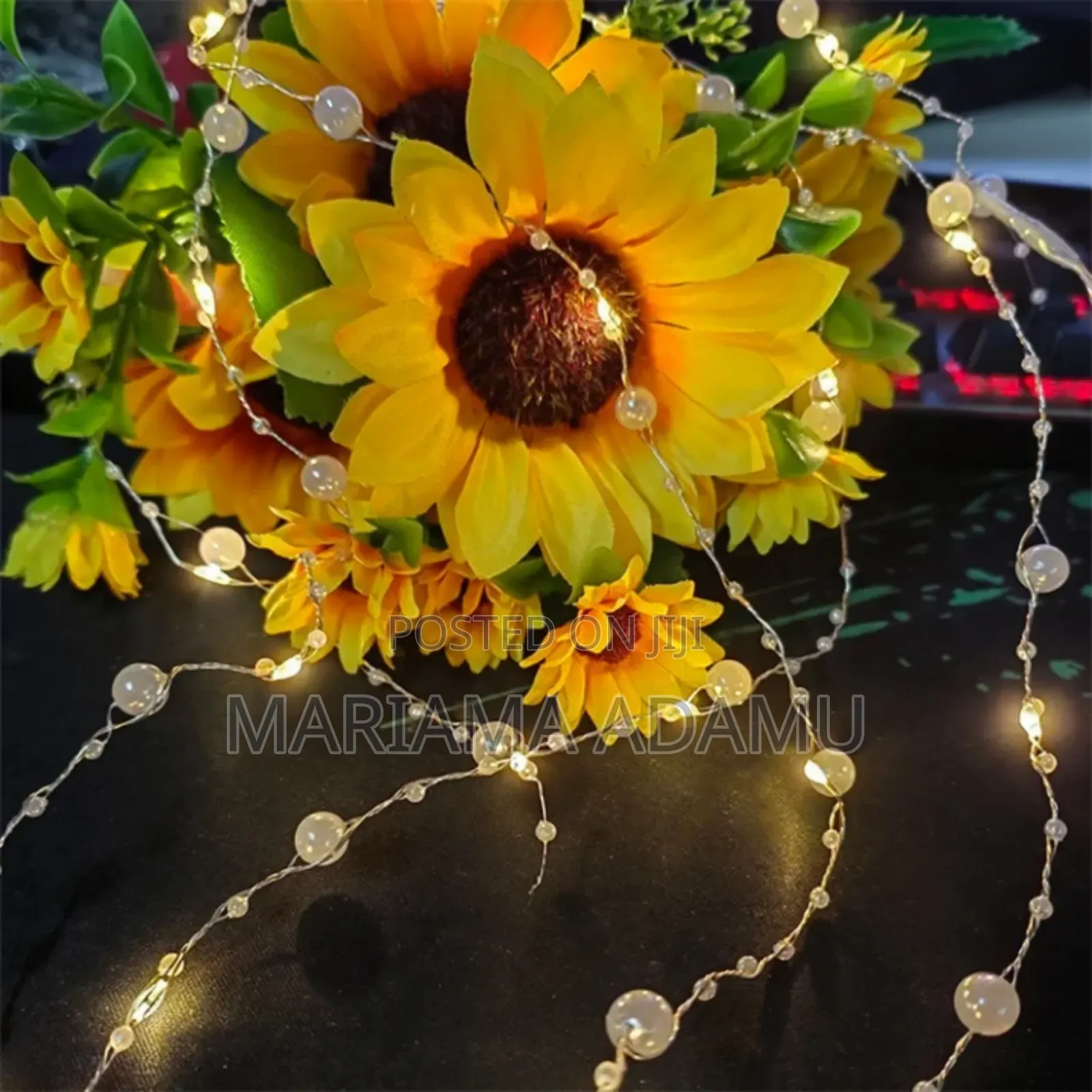 Pearls Led String Lights