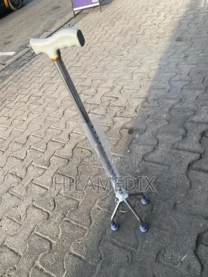 Walking Stick Quad Cane