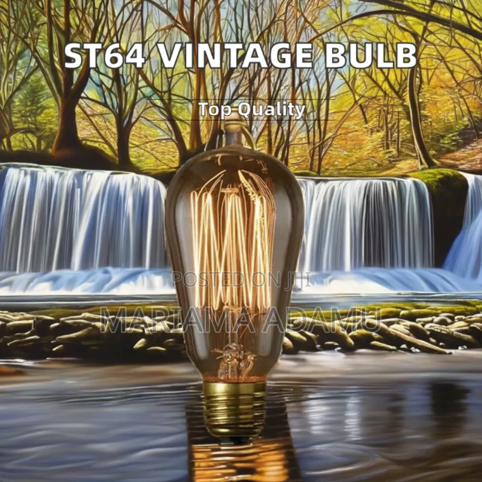 Led Filament Bulbs