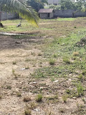 East Legon Hills 1 Acre Titled Land