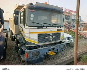 Man Tipper for Sale