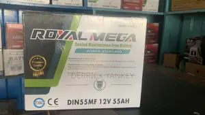 13plate Maintenance Free Battery
