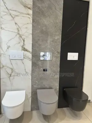 Concealed Watercloset_ Wall Mounted Wc