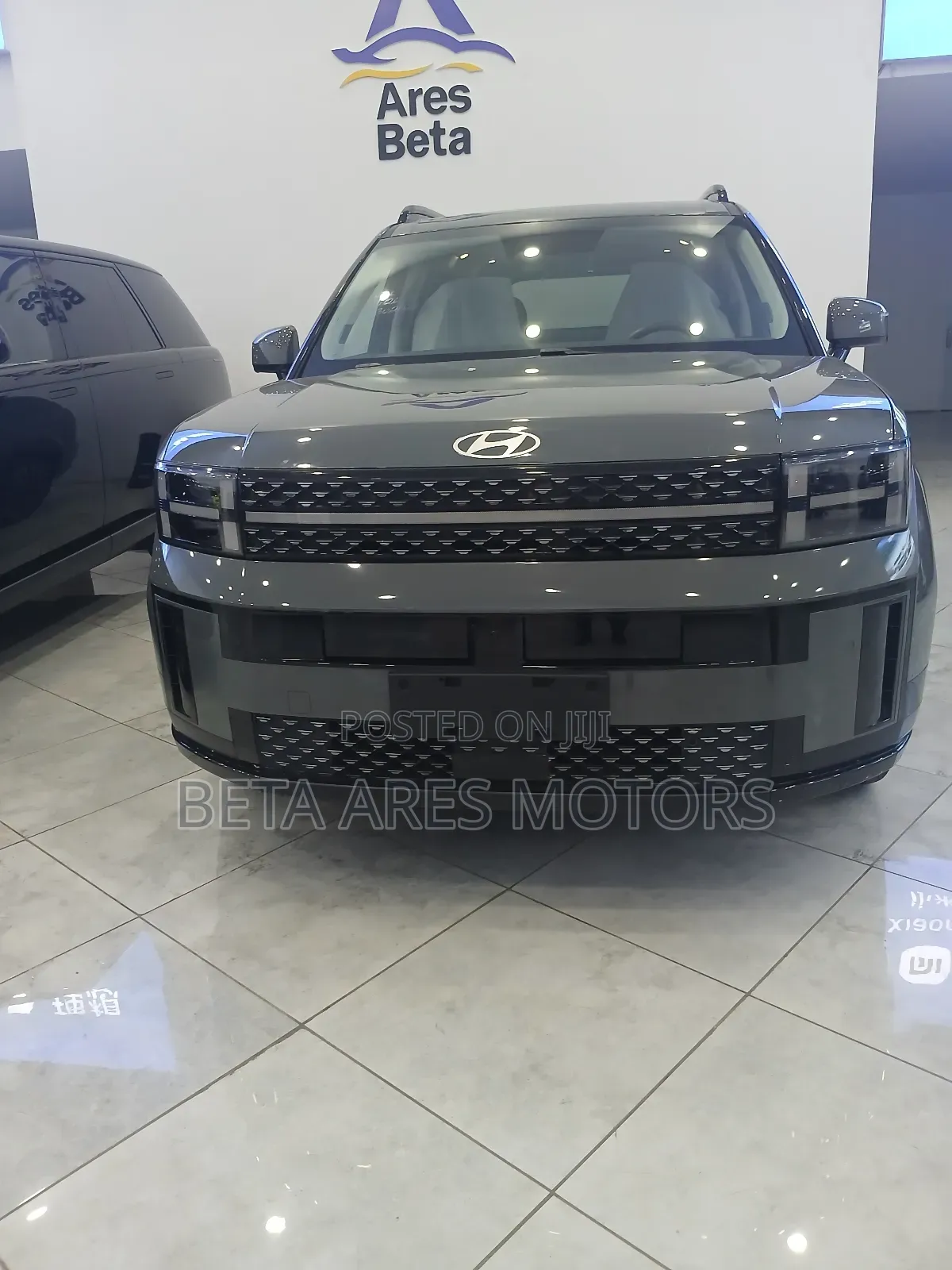 New Hyundai Santa Fe Calligraphy 2024 Gray