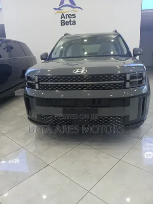 New Hyundai Santa Fe Calligraphy 2024 Gray