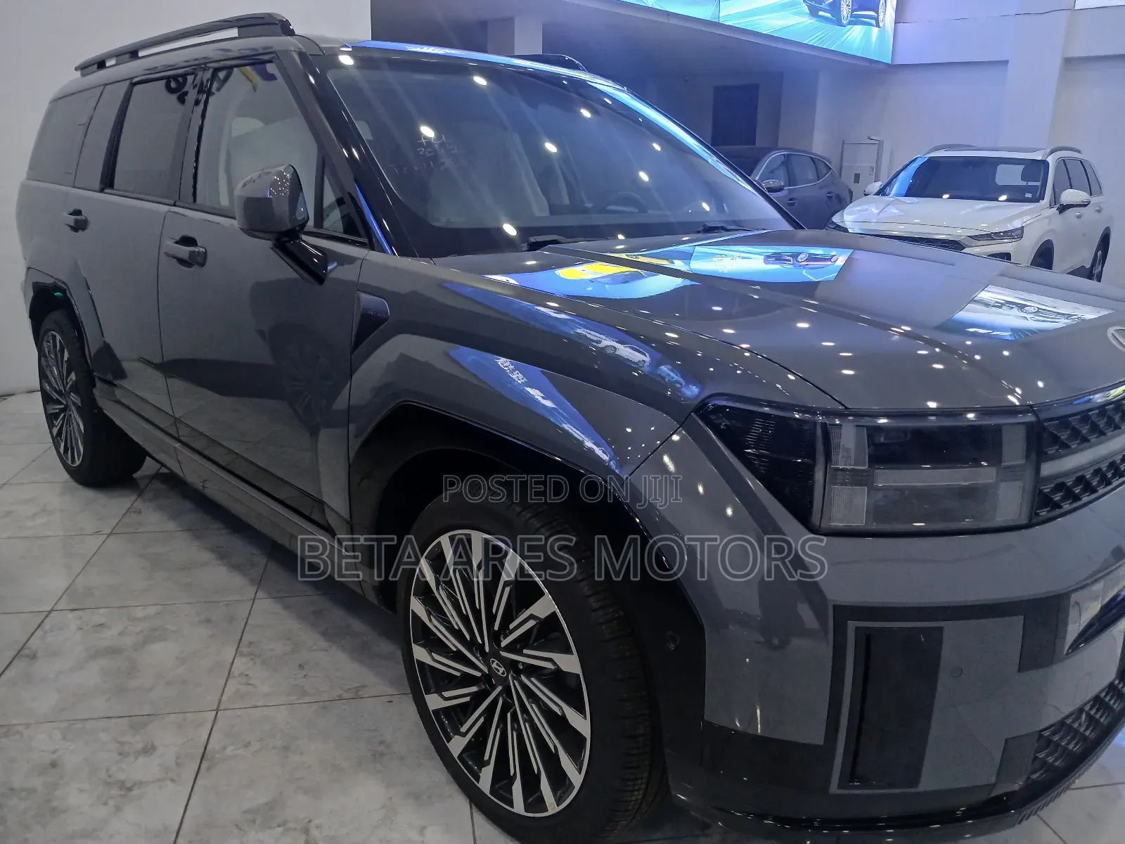 New Hyundai Santa Fe Calligraphy 2024 Gray