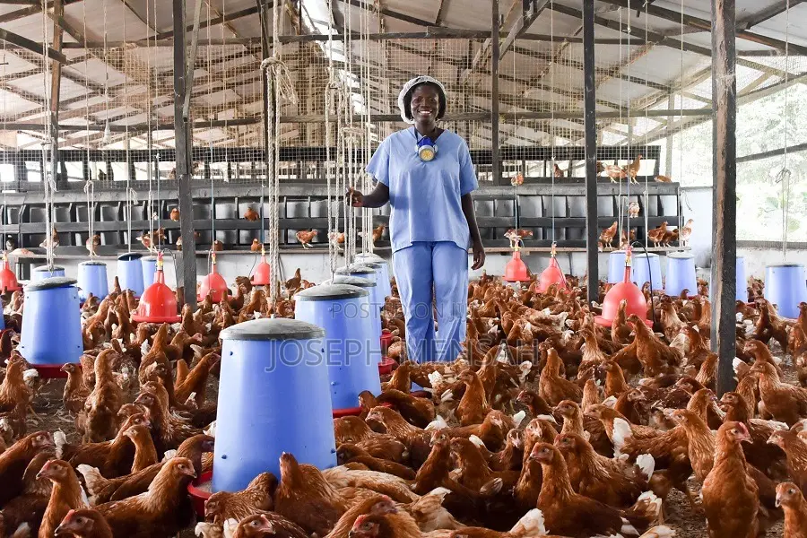 Farm Worker With Experience in Vegetable Farming